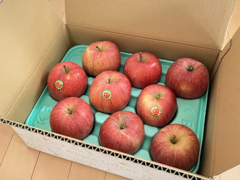 【11月発送】人気No.1！毎日食べたい！サンふじ（家庭用3kg・7~12玉）