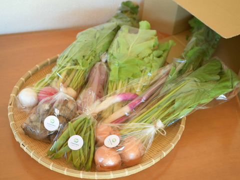 発送直前に収穫！旬の野菜セット（７～８種類）