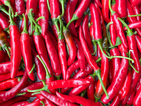 【数量限定！】激辛！赤唐辛子 栽培期間中農薬不使用 500g