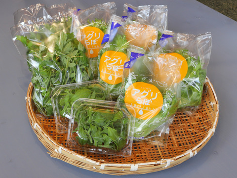 洗わずに食べられる野菜アソート3種セット (フリルレタス＆アイスプラント＆よもぎ)