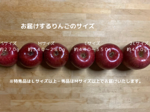 ～🍎青森りんごを直送🍎～　化粧箱入り　大玉『完熟サンふじ・金星』５Kg　１２個入り