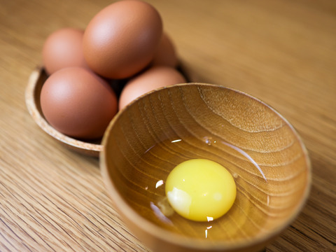 【福袋】土遊野の里山のめぐみたっぷり詰め合わせ（有機米・平飼い卵・ダイシモチ麦・有機キウイフルーツ・パンケーキミックス・きな粉・本みりん）