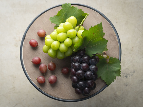 【冷眠】で旬をそのままに！
晴れの国岡山県産
冷凍ぶどう詰め合わせ150g×4p