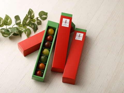 【食べ比べギフト】７色カラフルミニトマト3箱セット：熊本県産：ギフトメッセージ対応