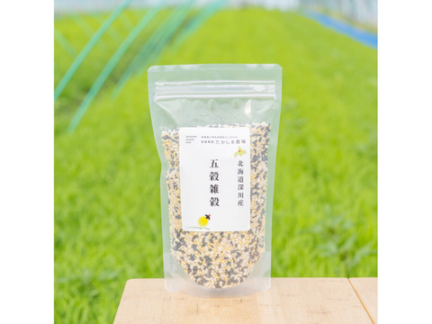 北海道産 五穀雑穀250g×2袋 送料全国一律360円