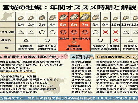 【期間限定10％値引き販売中】🦪 生食用１３ｋｇ（78~208粒） 殻付き 牡蠣 牡蛎 殻付き牡蛎 kaki カキ 松島牡蠣屋 生牡蠣にも、BBQに最適🔥 海産物 オイスター A