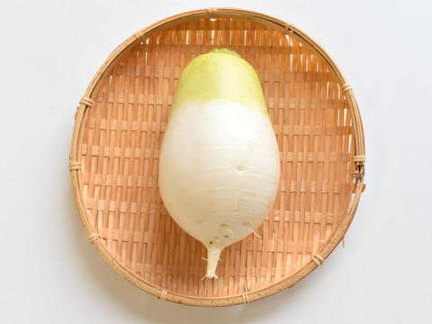 和らぎ農法　ミニ大根　大（1～2本）