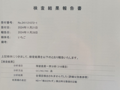 【お買い得】サイズいろいろバラ詰めいちご（紅ほっぺ）900ｇ以上