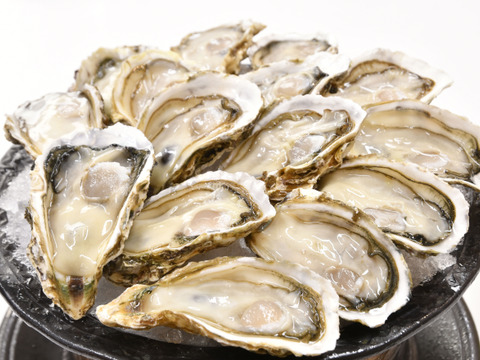 【生食用かき】よくばり2種♪　かきむき身400gと開殻かきハーフシェル12個　広島の海から直送♪　鮮度抜群！安心安全なこだわりの生かき