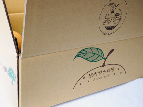 ✴︎限定✴︎【新高】5kg 特大５玉入【贈答用】　しっかり甘い＊食べ応えも大満足＊男性に人気！！庄内甘熟梨 　即日発送