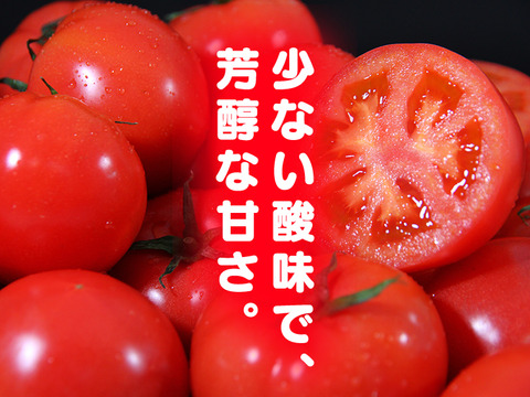 【食べ比べ】【極み】ソムリエトマト１.３kg （６玉から１０玉）ソムリエミニトマト　プラチナ500g　ダイヤ500gのセット