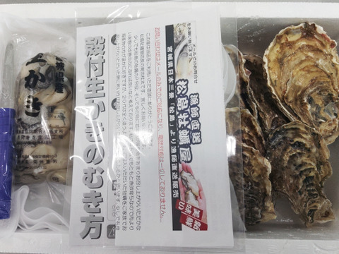 【水産庁補助事業 送料無料】剥き身セット🚚2.3kg 予約販売 【1/7～発送スタート】生牡蠣🦪生食用むき身300g+殻付き牡蠣普通サイズ ２kg（目安12-32個）松島牡蠣屋 C