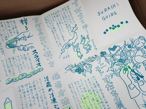 BIG！すだち【特別栽培・5kg箱】神山町からお届け：徳島県産のみかん