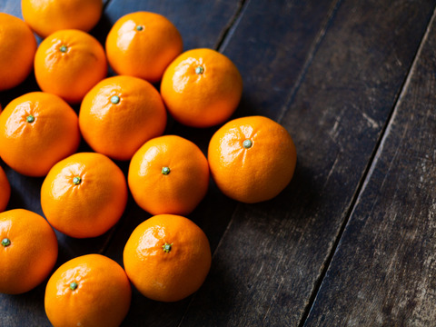 【柑橘の大トロ】玉宝せとか（２kg）※ご家庭用
