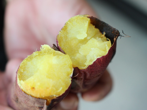 さつまいも紅はるか（5kg）【冬ギフト】Sサイズ