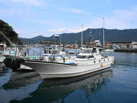 高級魚！徳島宍喰産活け〆ノドグロ‼️1匹300g超え‼️約1kg【冷凍】※3月の発送になります。