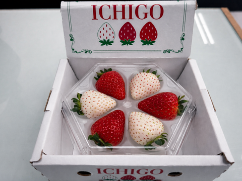 【食べ比べ】2色(赤・白)フラワー＆スクエア　160g×4箱セット