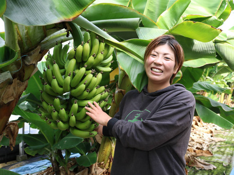 [栽培期間中 農薬・化学肥料不使用]たかきのバナナ　5本セット約1kg前後