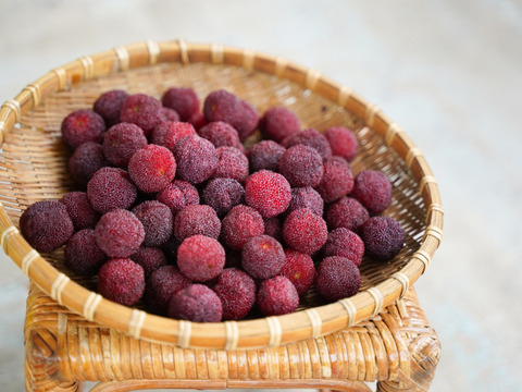 【収穫期限定】冷凍やまもも 秀(500g）
ヤマモモシロップづくりにぴったり！