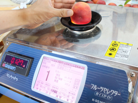 【Ｂ品】甘っ！【糖度１３度以上】保証感動完熟桃 約1.8kg7-9玉入