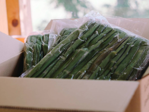 【大容量】シャキっと高知県産 冷凍塩漬けイタドリ（500g×3袋）