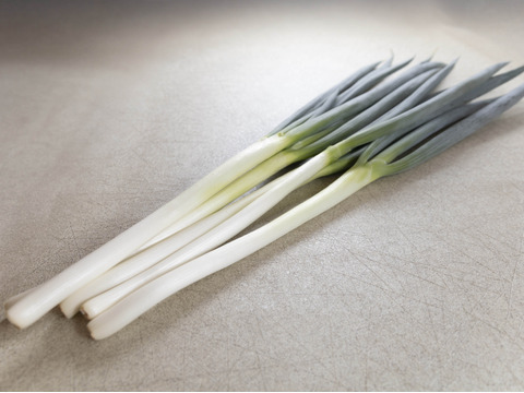 【冬ギフト】とろ甘！泥付きで長持ち！富山県産白ねぎ！焼くだけジューシー、お鍋に主役級の甘さの富山ブランドねぎ！飲食店さん、お裾分けにも大活躍！3Kg(泥付きL•2Lサイズ15〜25本)