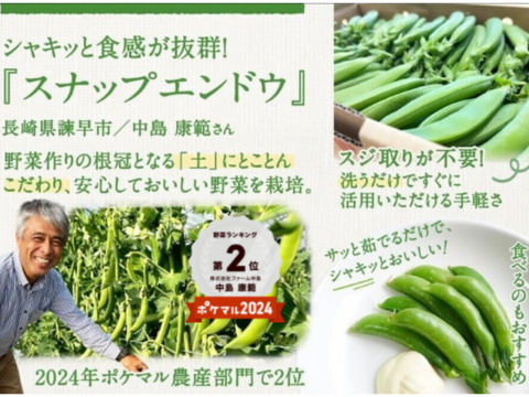 『プレミアムおのんすなっぷえんどう』＼日本一のスナップ❗️／甘シャキッ1kg