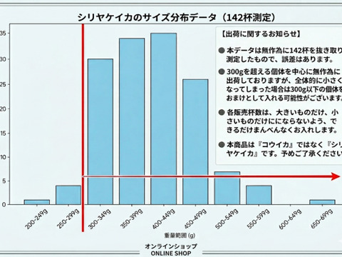 【20％OFF設定中】🦑急速冷凍出荷コウイカ シリヤケイカ【10杯】バリエーション選択可能🌊スミイカ✨刺身・寿司ネタに！日時指定可能📦🍣刺し身・イカ焼きに最適！🌊 定置網で朝獲れ 烏賊 イカ