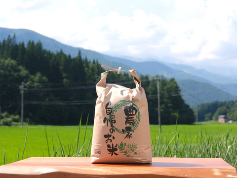 【令和7年新米】白馬村産新米コシヒカリ 5kg｜令和3年金賞受賞歴あり・信州認証米（数量限定）