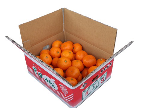 【冬ギフト】農家直送！有田みかん3kg≪Sサイズ 秀品≫【平武農園】～蛍飛ぶ町から旬の便り～　和歌山｜有田｜田口｜ギフト｜こだわり　産地直送　お取り寄せ