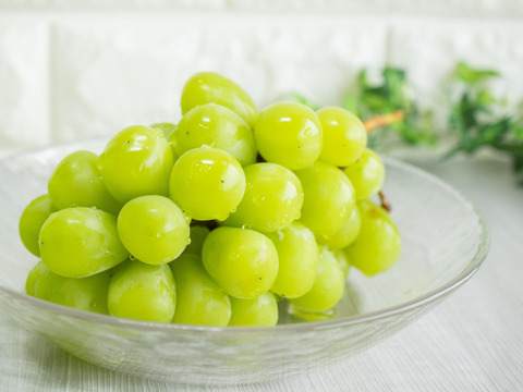 【限定200】秋の厳選くだものだより第2弾（食べチョク公式）