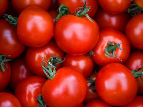 【有機JAS】甘くてジューシーなミニトマト「ほれまる」3kg