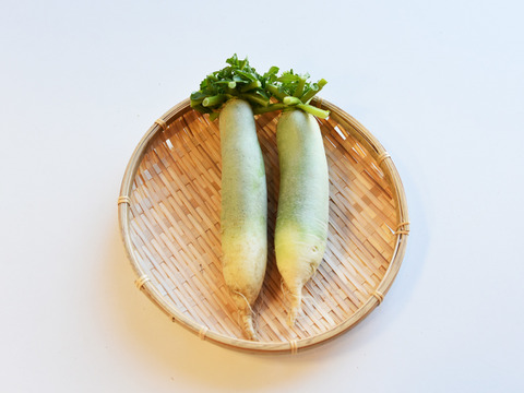 和らぎ農法　ビタミン大根（1～2本）