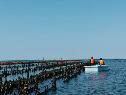 【冷凍殻付き生食用牡蠣】大分中津のブランド牡蠣ひがた美人10粒（Mサイズ：1粒40ｇ程度）