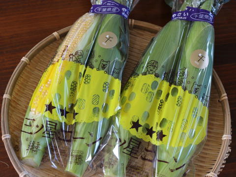 千葉市食のブランド「千」認定　三ツ星コーン12本入り