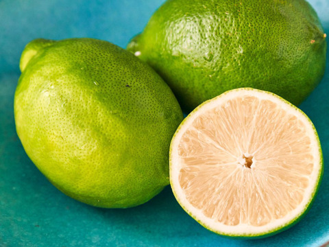 みかん箱込約2㌔レモン箱込約2㌔ 奇跡の出会い！とろける甘さのみかん＆超希少な種なしレモン