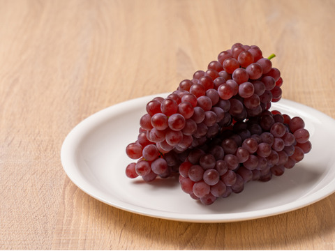 2026年＼8月上旬発送／山形県高畠町産種なしデラウェア約1㎏