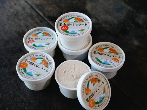 新発売　旬の美味しさを閉じ込めた　果樹園のジェラート『柑橘食べ比べセット』6種類12個入り　配達日時指定便 杉山農園