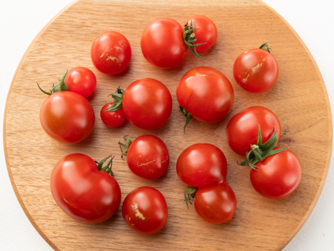 ♦訳ありでお得♦見た目より味で勝負！出汁を与えた超濃厚ミニトマト　農カード付　900g　出汁推し実