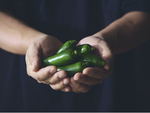 【農薬不使用】冬のあまいキャベツ　約３kg  ２〜３株