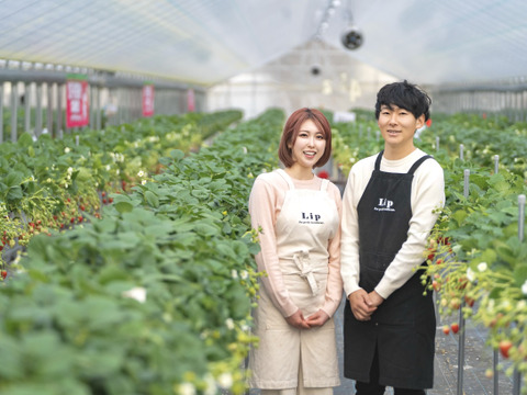 ✨️🏆[全国いちご品評会銀賞]🍓✨️奈良ブランド苺「古都華と旬のいちごの食べ比べ」【ギフト対応可】