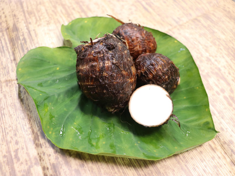 ホクホク☆甘みのある赤芽里芋　約1.5kg　～豚汁や煮物からコロッケ、グラタンまで使い道いろいろ♪～