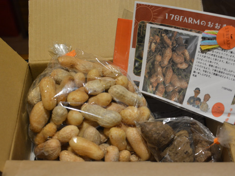 【今が旬】千葉県産おおまさり！農薬不使用（1kg）