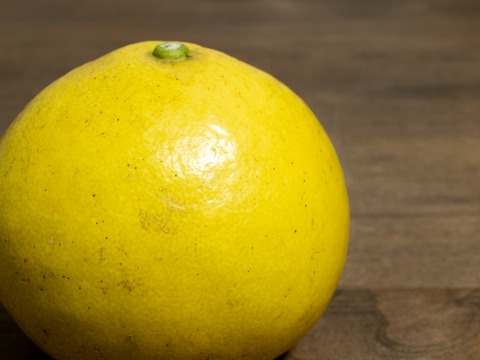 プリっと濃厚ジューシー♪【文旦】5kg