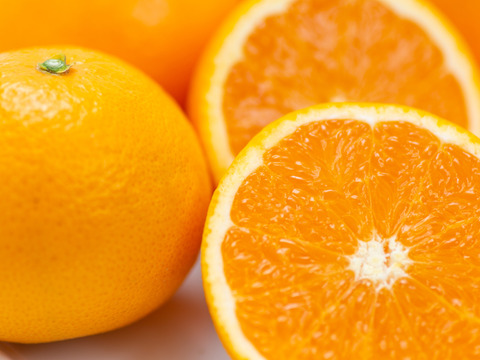 【柑橘食べ比べ】不知火（デコ）＋清見タンゴール＋はるか各２㎏（合計６㎏） ※３月発送開始
