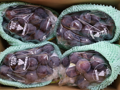 岡山県新見市産　標高が高い畑で作った！大粒！味が濃い！果汁たっぶり！ニューピオーネ　３～４房（1.8kg以上）×2箱