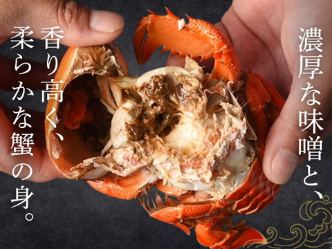 【希少ガニ】宮崎県産アサヒガニ［２kg］漁師直送・生冷凍