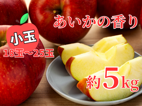 ≪発送中≫🏆食べチョクりんごグランプリ2025銀賞🏆幻のりんご【あいかの香り】※小玉※　約5kg