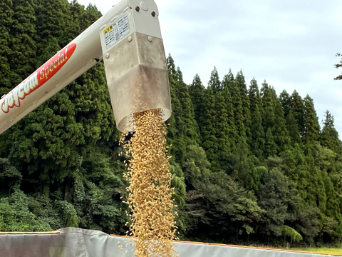 【2025年度産】［玄米］自然栽培イセヒカリ5kg（富山県氷見産）