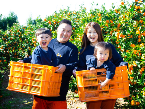 さっぱり上品「はるか」2㎏ (M~LL玉)　※２月上旬発送